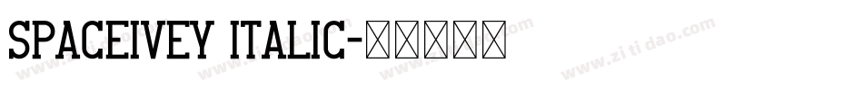 SpaceIvey Italic字体转换